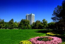 ЕЛИТЪТ НА БЪЛГАРСКАТА ЕНДОКРИНОЛОГИЯ СЕ СЪБИРА В К.К. АЛБЕНА