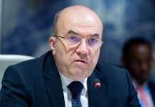 Изпратихме само посланик на натовска среща на върха
