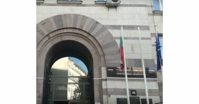 IMAGE_22880839_4000_0.jpg