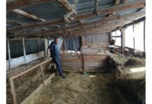 Злоупотреби за 922 хил. лв. при борба с шарката по овцете в Пловдивско разкри одит (Снимки)