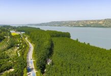 Екологичната среда в Китай продължава да се подобрява