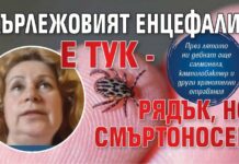 Кърлежовият енцефалит е тук – рядък, но смъртоносен