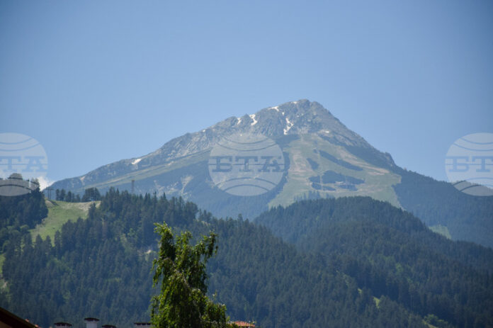 DSC_0034.jpg