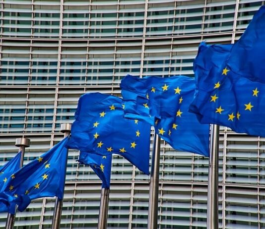 5 държави от ЕС предлагат предпазни механизми за бъдещите членки на евроблока