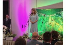 Бордът по туризъм е най-представителната организация в бранша