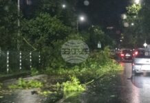 Силна буря премина през Пловдив, получени са сигнали за паднали дървета и наводнени улици