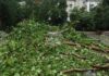 На 210 сигнала, свързани с метеорологичната обстановка в страната, са реагирали пожарните екипи през изминалото денонощие
