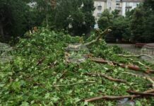 На 210 сигнала, свързани с метеорологичната обстановка в страната, са реагирали пожарните екипи през изминалото денонощие