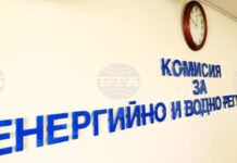 „Булгаргаз“ предлага поевтиняване на природния газ за август