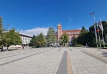 В Плевен на видеостена на централния площад ще бъде предаван финалът на Световното първенство по футбол