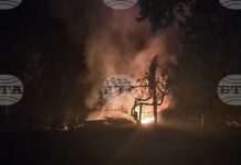 Овладян е пожарът край петричкото село Ръждак, няма пострадали хора и засегнати къщи