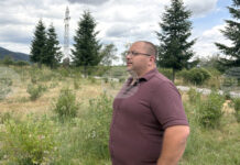 Общинското лесничейство в Самоков очаква добра реколта от боровинки, каза директорът Христо Николчев