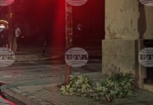 Буря причини щети и прекъсвания на електрозахранването в община Габрово, екипи работят по отстраняването им