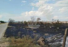 Потушен е пожар в селскостопанския двор на пазарджишкото село Тополи Дол, няма пострадали животни