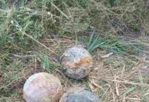 Военнослужещи са обезвредили четири артилерийски снаряда тип гюле, намерени в река Дунав