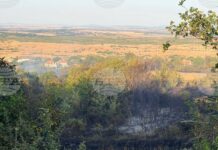 Потушен е пожар, избухнал край тополовградското село Орешник, пожарни екипи остават да дежурят през нощта