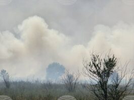 Локализиран е пожар край новозагорското село Кортен