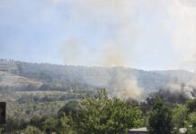 Пожарникарите в Благоевградско са реагирали на повече от 50 сигнала за седмица