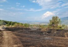 Огнеборци гасиха пожари в няколко области на страната, на места се наложи ограничаване на движението