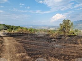 Огнеборци гасиха пожари в няколко области на страната, на места се наложи ограничаване на движението