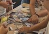 Международният ден на младежта беше отбелязан в Ловеч със спортни и творчески забавления