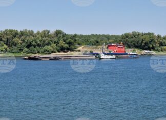 Повишение на нивото на река Дунав в почти целия български участък е отчетено за денонощие