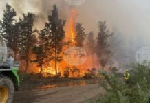 Общо 132 пожара са потушени в страната, един човек е загинал