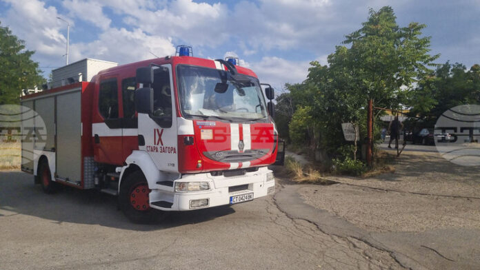 D1813_1.jpg