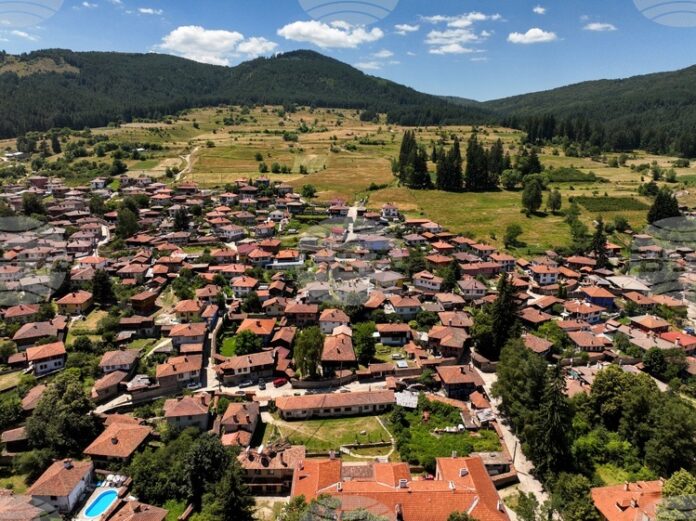DJI_0732.jpg