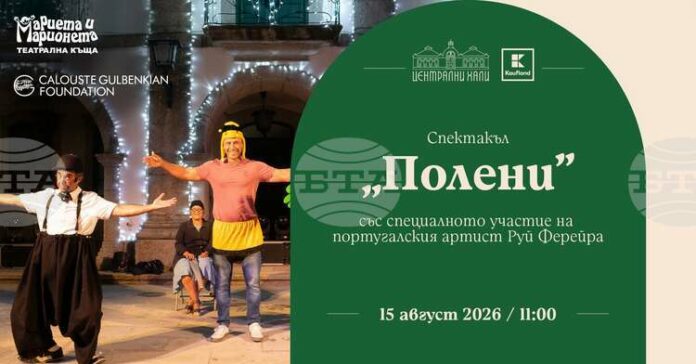 Poleni_Centralnihali.jpg