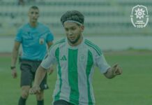 Вихрен се раздели с крило