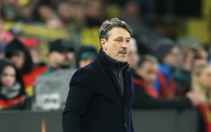 960-600-niko-kovach.jpg