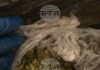 Криминалисти от столичното Шесто РУ задържаха двама души за разпространение на наркотици