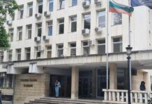 Прокуратурата в Пловдив привлече като обвиняем испански гражданин след открити кактуси и гъби, евентуално съдържащи наркотични вещества