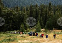 Условията за туризъм в планините са добри, но следобед се очаква влошаване на времето, съобщиха от ПСС към БЧК