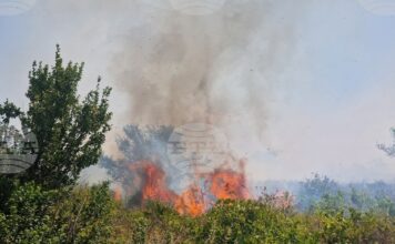 Движението по път I-3 в района на Плевен е възстановено, след като беше ограничено заради пожар