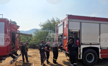 Пожарът в ТЕЦ „Брикел“ в Гълъбово е локализиран, съобщи областният управител на Стара Загора