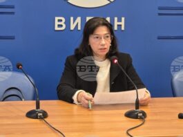 00 часа избирателната активност в област Видин е 17,57%