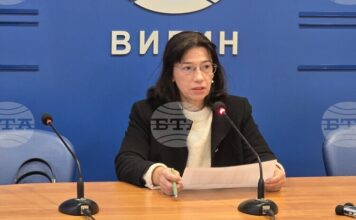 00 часа избирателната активност в област Видин е 17,57%