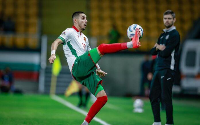 960-600-zdravko-dimitrov.jpg